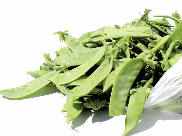 organic peas grower