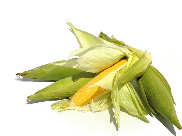 Organic Sweetcorn Organic Sweetcorn