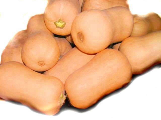 Organic Butternut Pumpkin organic butternut pumpkin